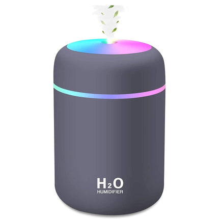 H2OPro Mini Portable Cool Mist Personal USB Humidifier